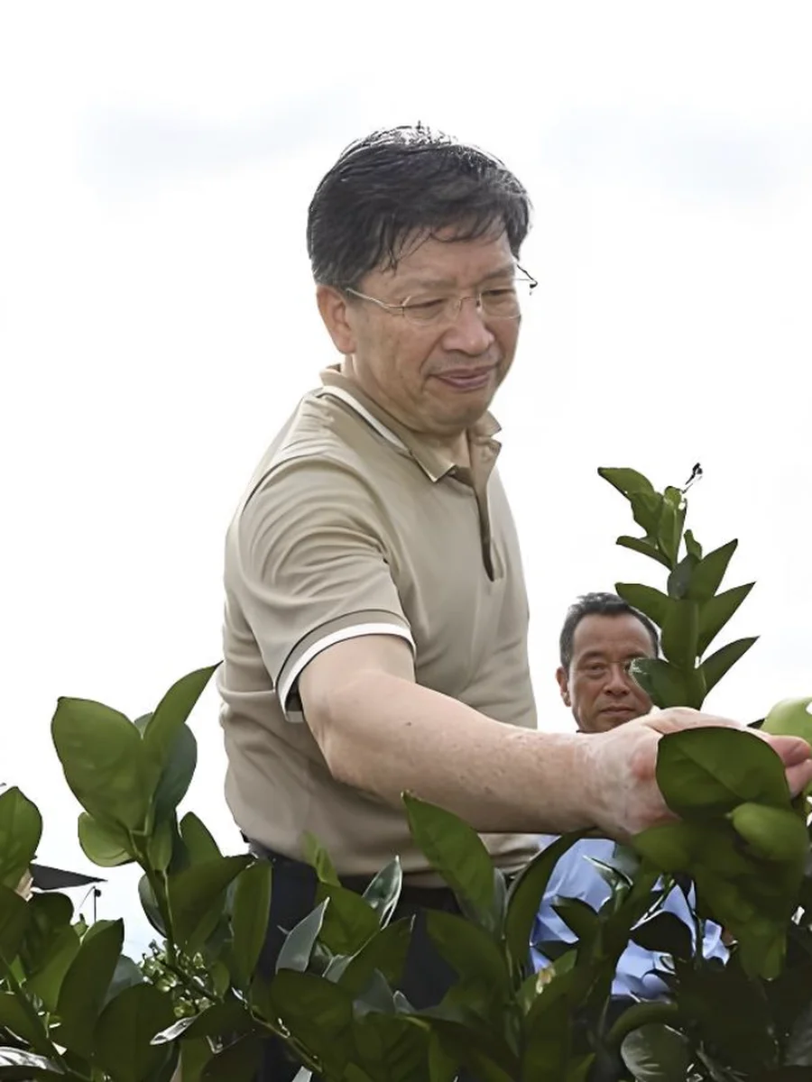 邓秀新